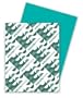 Wausau Paper Astrobrights Colored Card Stock, 65 lb, Letter, Terrestrial Teal, 250 Sheets per Pack (22109)