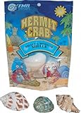 Florida Marine Research SFM33332 Hermit Crab Shell, Medium,  3-Piece per Pack
