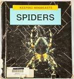 Spiders (Keeping Minibeasts)