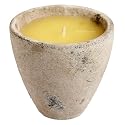 Citronella Candle Garden Pot