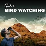 Everything You Need to Know About Birdwatching/How to Identify B