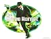 Search : Green Hornet Running ~ Edible Image Cake / Cupcake Topper