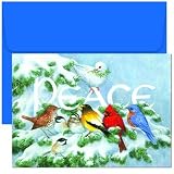 Birds On Branch Holiday Cards