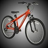 BikeHard Battle Twenty-Four 24" Burnt Orange