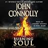 The Burning Soul: A Charlie Parker Mystery