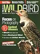 WildBird (2-year)