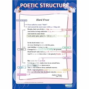 Poetic Structure |English Literature Educational Wall Chart/Poster in