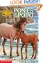 Ponies at the Point (Animal Ark Series #10)