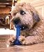Hugs Pet Products Arctic Freeze Fetch Chew Toy