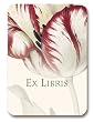 genus Tulipa - Set of 20 Adhesive Bookplates