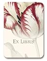 genus Tulipa - Set of 20 Adhesive Bookplates