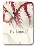 genus Tulipa - Set of 20 Adhesive Bookplates