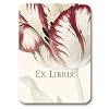 genus Tulipa - Set of 20 Adhesive Bookplates