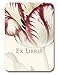 Laurel Genus Tulipa - Set of 20 Adhesive Bookplates