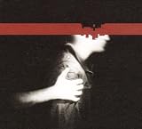 The Slip [Vinyl]