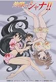 もえ☆シーツ 灼眼のシャナII