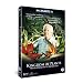 Kingdom of Plants [DVD]