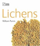 Lichens (Life)