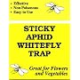 Yellow Sticky Traps