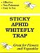 Tools & Hardware : Yellow Sticky Traps
