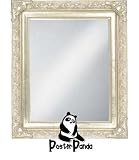 Review PosterPanda.com  / 11x14 - Silver Leaf FRAMED MIRROR