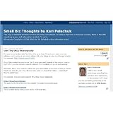 SmallBizThoughtsbyKarlW.Palachuk