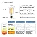 LightStory LED Decorative Bulb ST19, E26 Base 2200K Non-dimmable 4.5W/50W Clear LED Filament Bulb