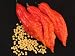 20+ Bhut Jolokia / Naga Morich Seeds