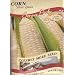 Silver Queen Corn Seeds - 15 grams