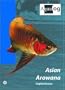 AQUALOG: Asian Arowana
