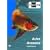 AQUALOG: Asian Arowana