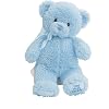 Gund 25.5cm My First Teddy for Newborn and Above (Blue)