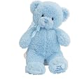 Gund 25.5cm My First Teddy for Newborn and Above (Blue)