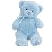 Gund 25.5cm My First Teddy for Newborn and Above (Blue)