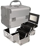 Seya Silver Mini Train Case with Mirror