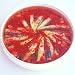 Anchovies in Sunflower Oil with Pepper Sauce - 2.2 lbs