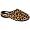 LEOPARD BROWN