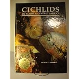 cichlids of north  central america