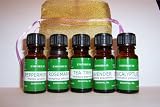 51ZgALBGrDL. SL160  Aromatherapy Gift Set   Top 5 Essential Oils in Organza Bag