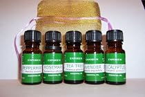 Aromatherapy Gift Set - Top 5 Essential Oils in Organza Bag