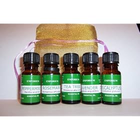 Aromatherapy Gift Set - Top 5 Essential Oils in Organza Bag
