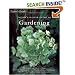 Taylor's Master Guide to Gardening