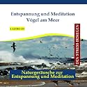 Entspannung und Meditation - V&ouml;gel am Meer - Meeresrauschen mit Musik - gemafreie Entspannungsmusik