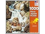  : Roar of the Falls 1000 piece Puzzle