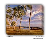 PALM TREES & SUNSET - Gallery Wrapped, Stretched Canvas Photograph