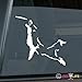 Border Collie Frisbee Disc Dog Sticker Vinyl Auto Window v3