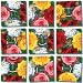 ROSES Scramble Squares by b. Dazzle