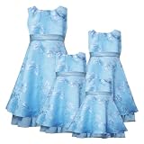 Rare Editions Girls 2T-6X AQUA-BLUE BUTTERFLY DOT BURNOUT SHEER OVERLAY Special Occasion Wedding Flower Girl Easter Pageant Party Dress