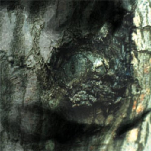 Yann Tiersen - Summer 78 (with Claire Pichet) Lyrics - Zortam Music