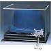 MLB Baseball Cap Display Case (No Logo)